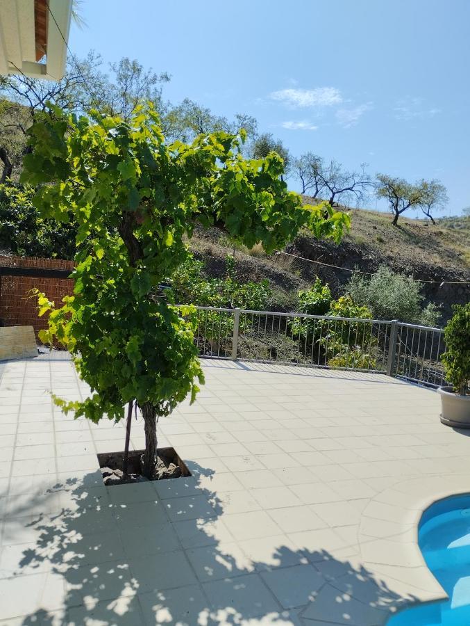Villa Las Vinas Málaga Extérieur photo