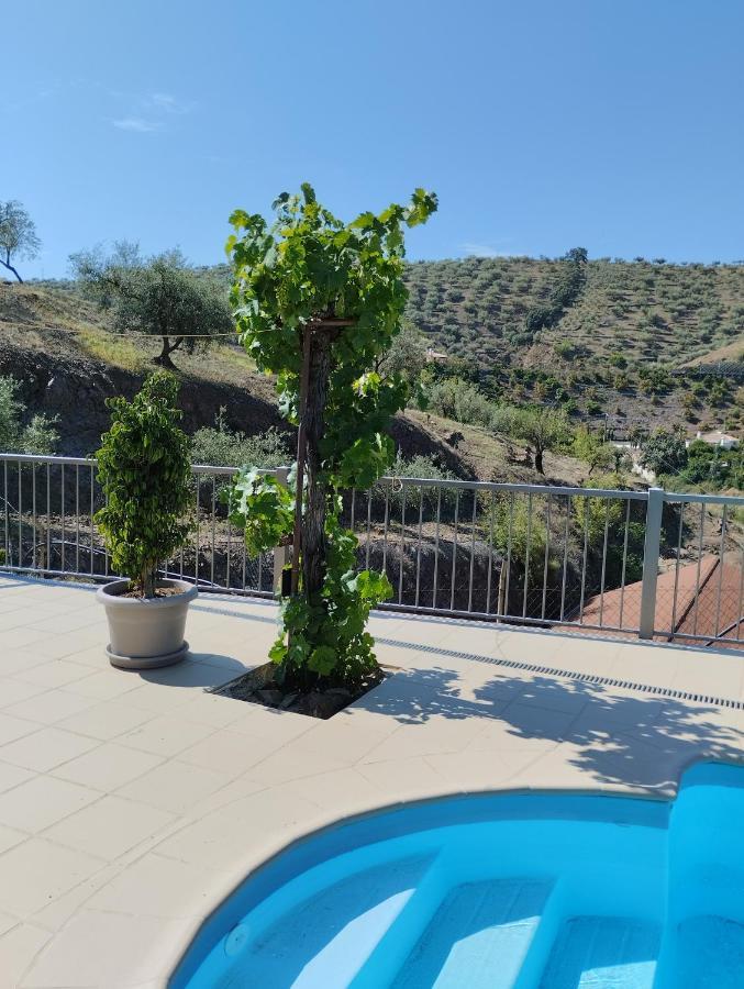 Villa Las Vinas Málaga Extérieur photo